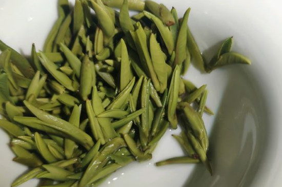 竹葉青茶怎么泡，竹葉青如何沖泡