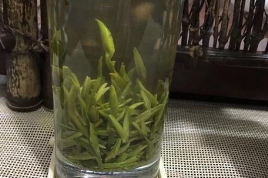 金壇雀舌什么檔次，金壇雀舌算不算好茶？