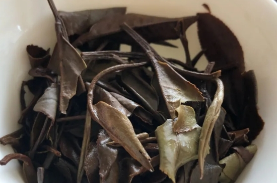 老白茶上火還是去火？夏季喝煮的老白茶會容易上火！