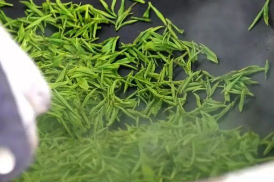 碧螺春為什么泡水渾濁，碧螺春茶葉泡水感覺(jué)很臟是混濁的