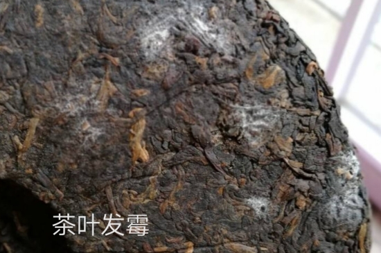 西湖龍井茶毫和發(fā)霉區(qū)別圖片，長霉的龍井茶葉會是什么樣？